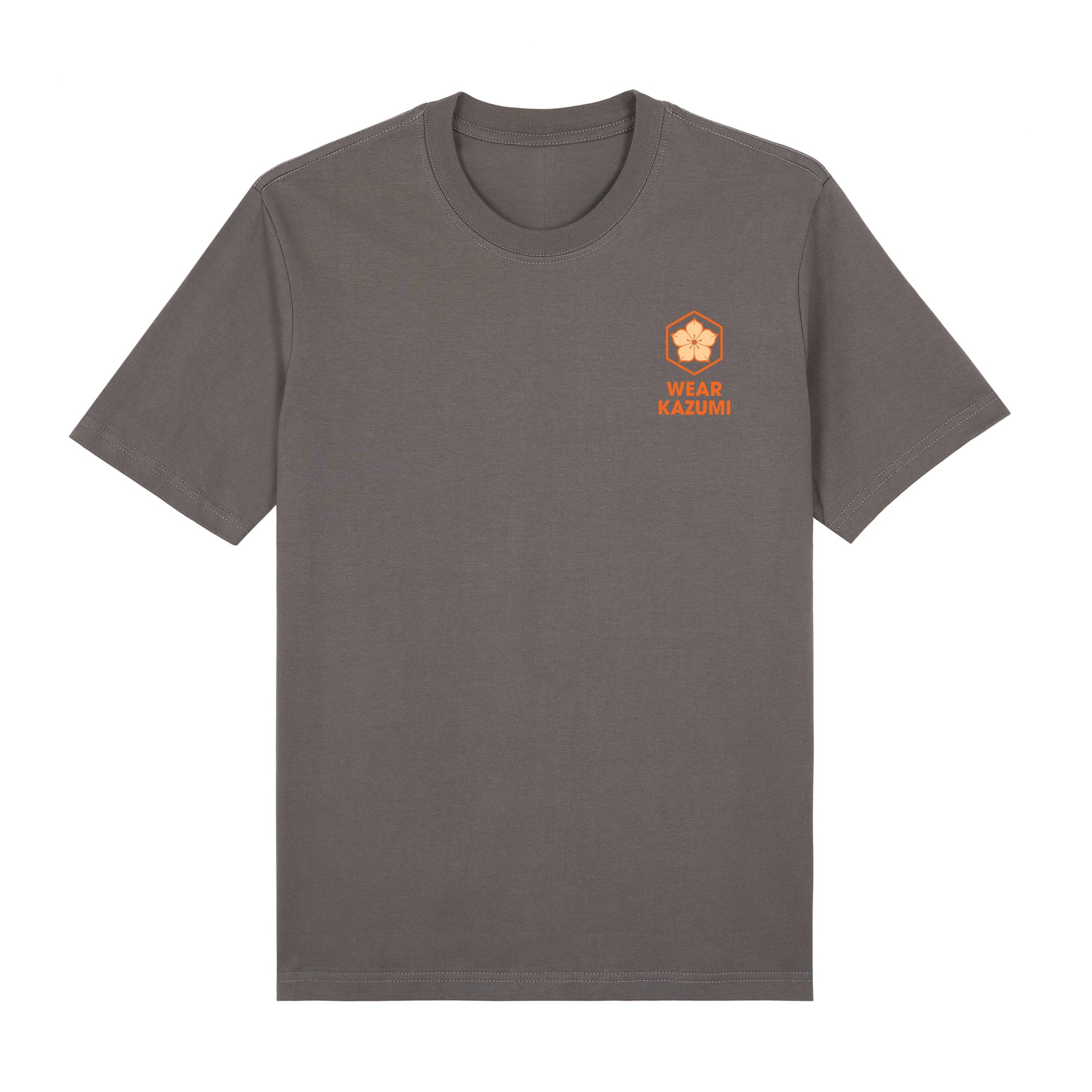Koi Lantern Premium T-Shirt — Gray Front | Wear Kazumi